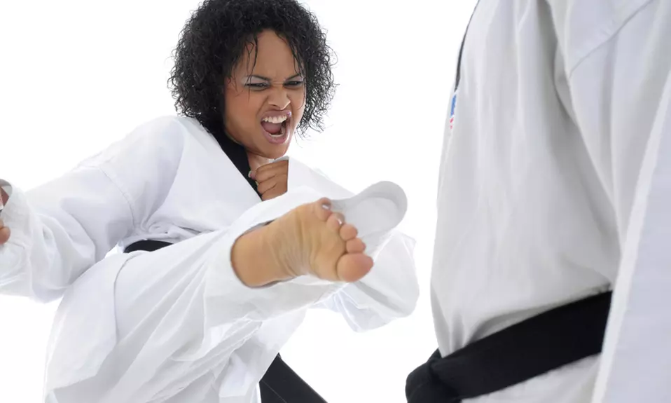 One or Three Months of Karate Classes at Bas-I Kyokushin Karate (80% Off) - Primary Image