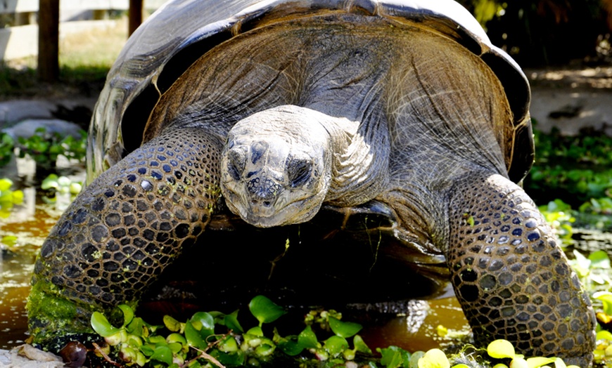 Image 2: Pass pour la Vallée des Tortues 