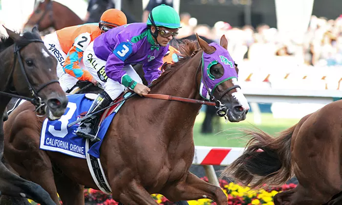 $10 for a $20 Credit Towards Online Bets on the Belmont Stakes at TVG - Primary Image