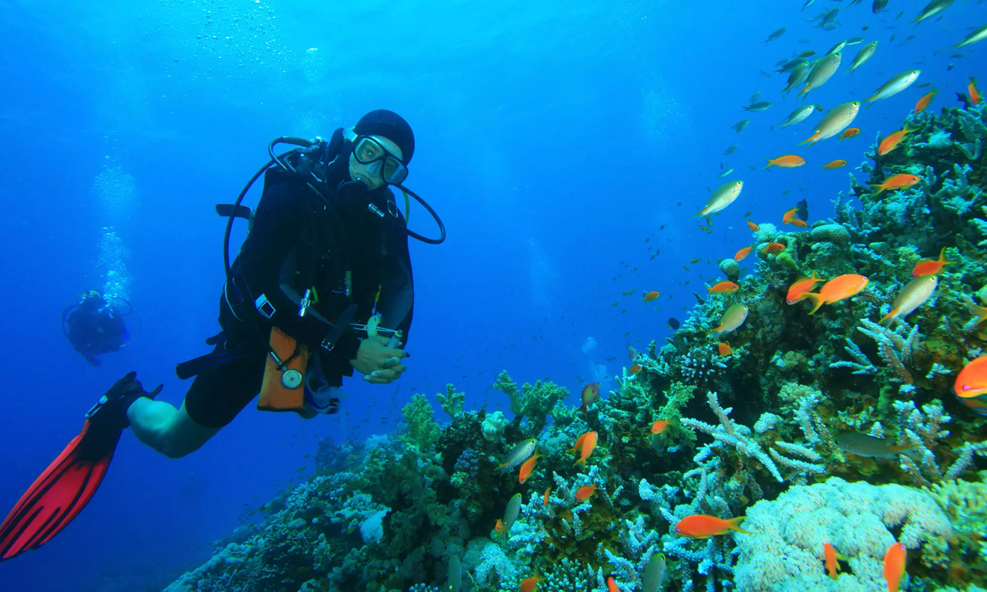 Three-Hour Introductory Indoor Scuba-Diving Class for One or Two at Benthic Scuba Center (Up to 65% Off) - Primary Image