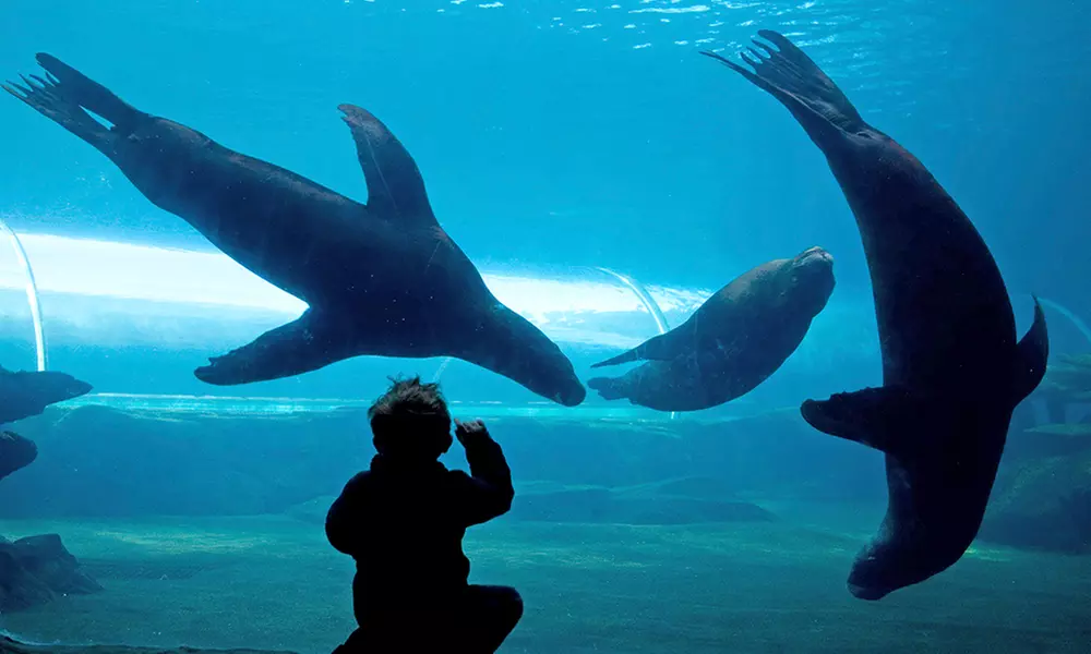 Essex: 4* Stay for 2 or 4 with Breakfast and optional Zoo tickets