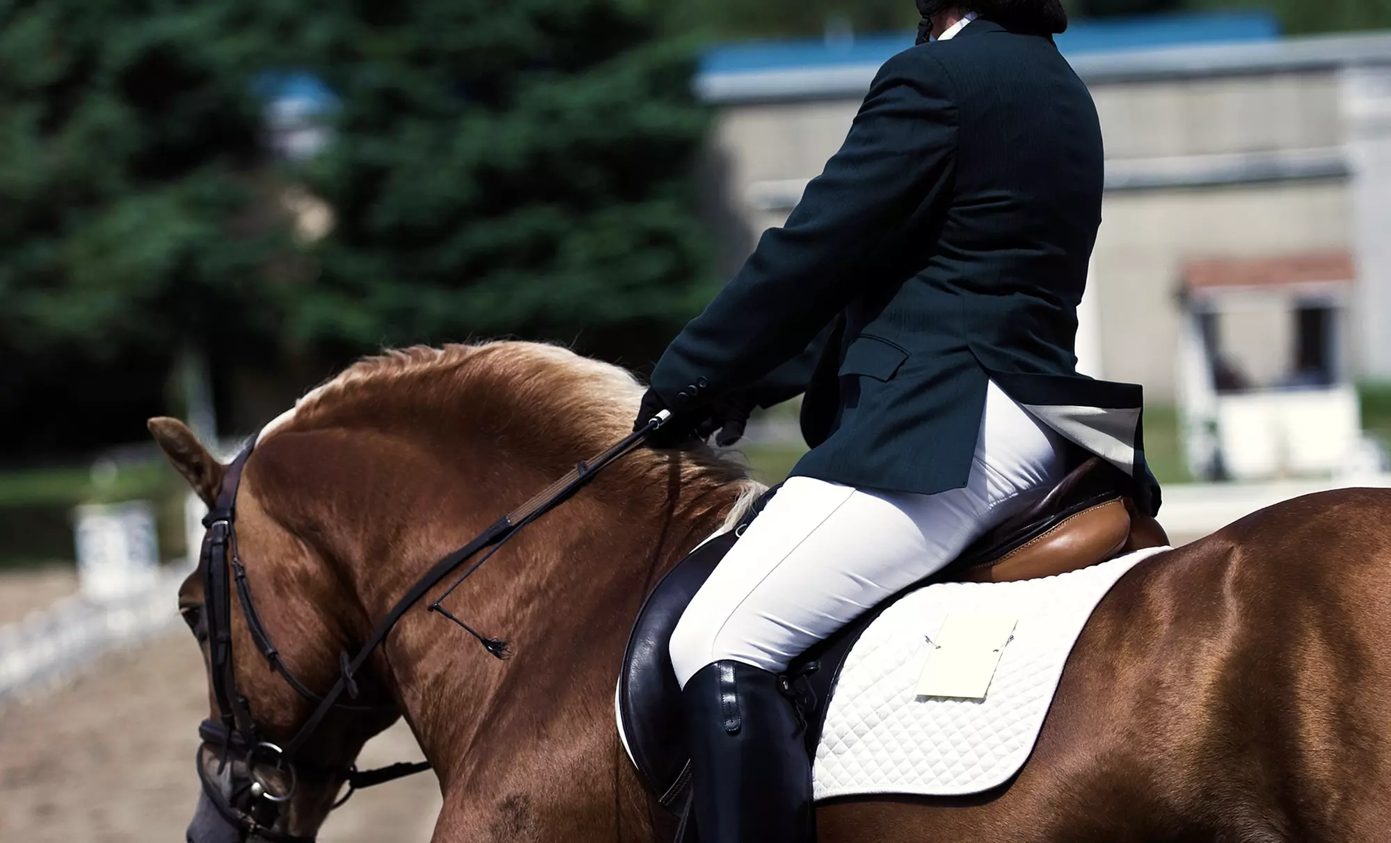 Two, Five, or Ten 45-Minute Private Horseback-Riding Lessons at Stone Bridge Equestrian Center (Up to 60% Off) - Primary Image