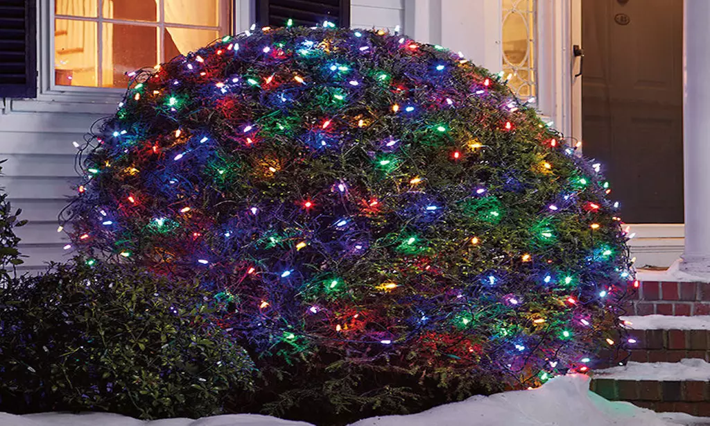 150-Count Solar LED Multicolor Net Lighting - Primary Image