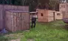Paintball Game Package for Two or Four at Wildcat Paintball in Williamson (56% Off)