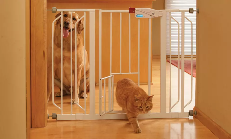 1 or 2 Extra-Wide Walk-Through Gates with Small Pet Door for $35.99 or $69.99. Free Returns. - Primary Image