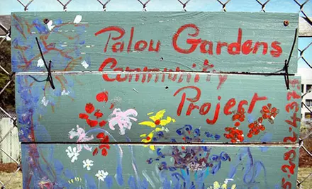 $10 Donation to Help Fund a Community-Garden Project - Second Medium