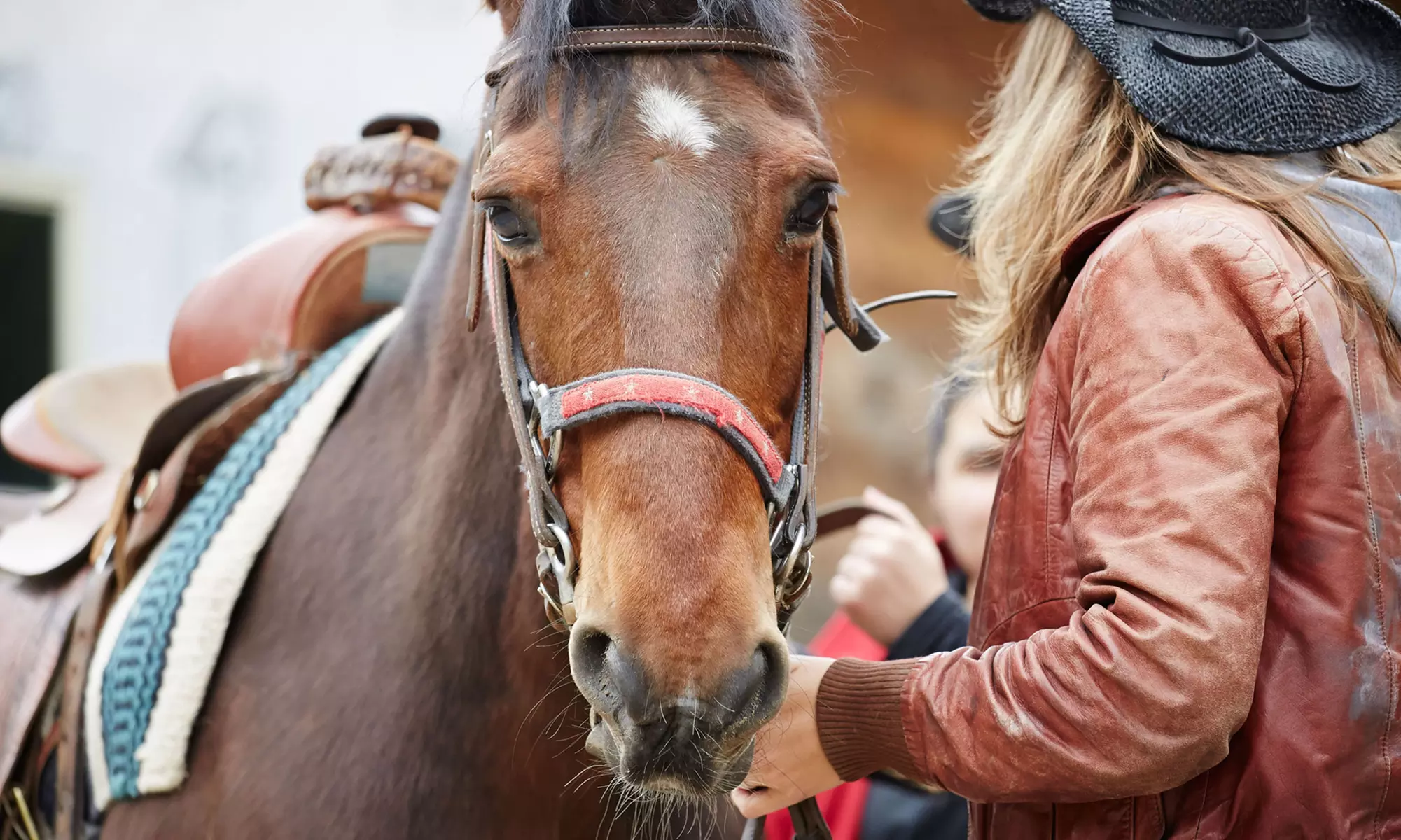 One or Three 60-Minute Private Horseback-Riding Lessons at JR Reichert Ventures (Up to 54% Off) - Primary Image