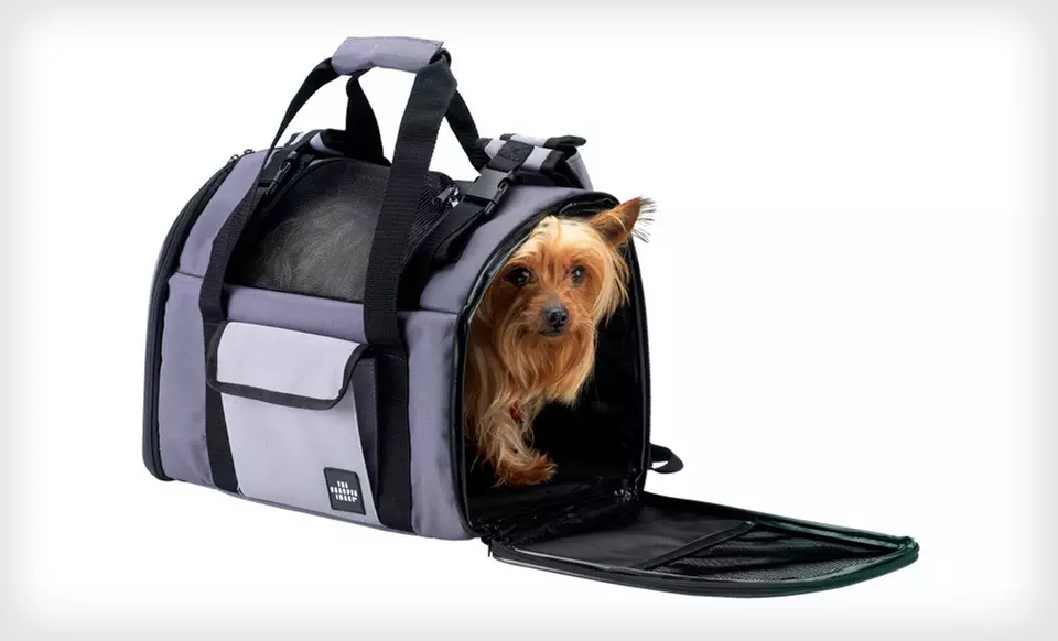 $28 for a Sharper Image Pet Carrier ($59.99 List Price). Four Options Available. Free Shipping and Returns. - Primary Image