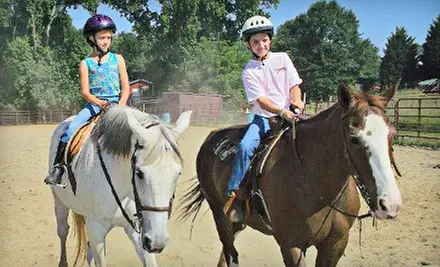 One or Three 60-Minute Private Horseback-Riding Lessons at Heart of Dixie Farms in Elberton (Up to 53% Off) - Primary Image