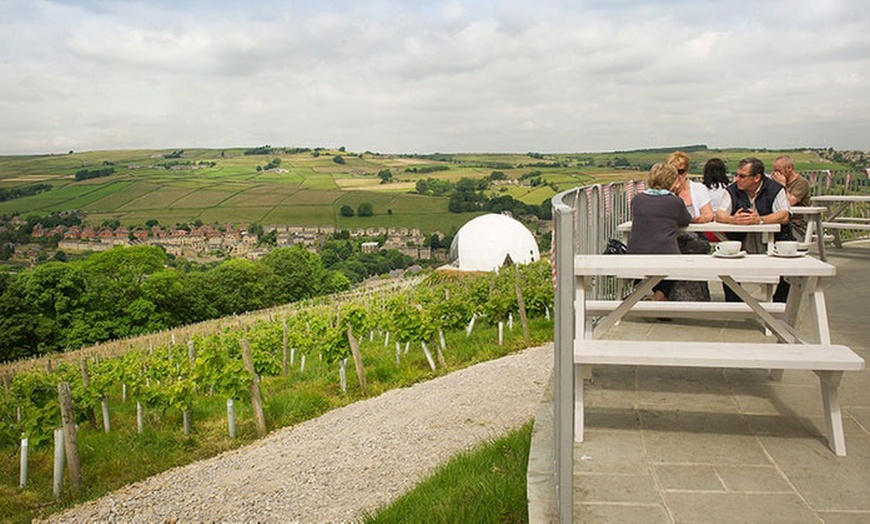 Image 10: Lunch, Vineyard Tour and Wine