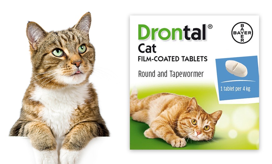 Image 1: Drontal Cat Worming Tablets