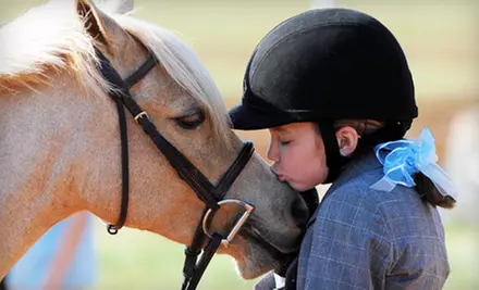 Two or Four 30-Minute Private Horseback-Riding Lessons at Fox Hollow Farm (Up to 59% Off) - Primary Image