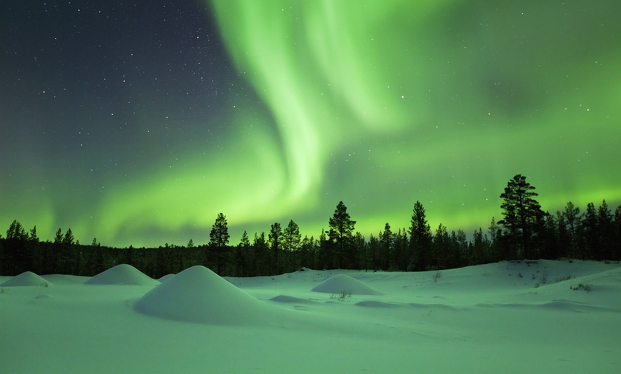 Image 9: Lapland Dog Sledding