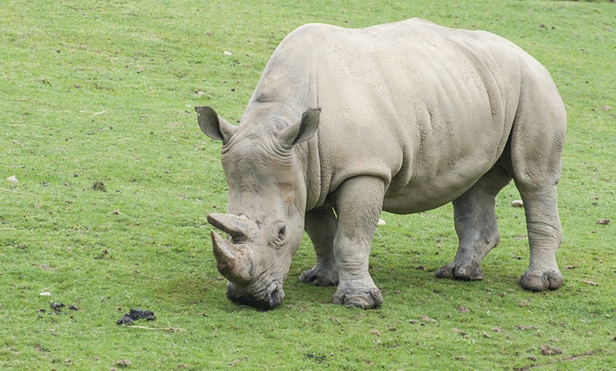 Image 14: Ingressi al Safari Park