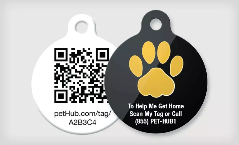 Pet Tags and Services (Up to 66% Off). 18 Options Available. Free Shipping on Purchases of $15 or More. - Second Medium