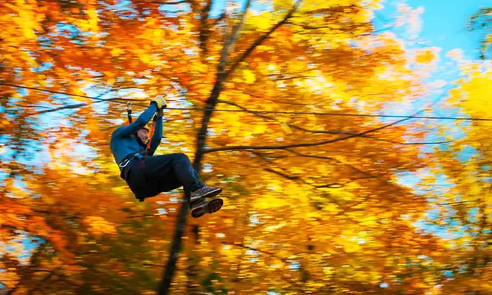 C$42 for a Three-Hour Zipline Adventure for Two at Camp Fortune (Up to C$70 Value) - Primary Image
