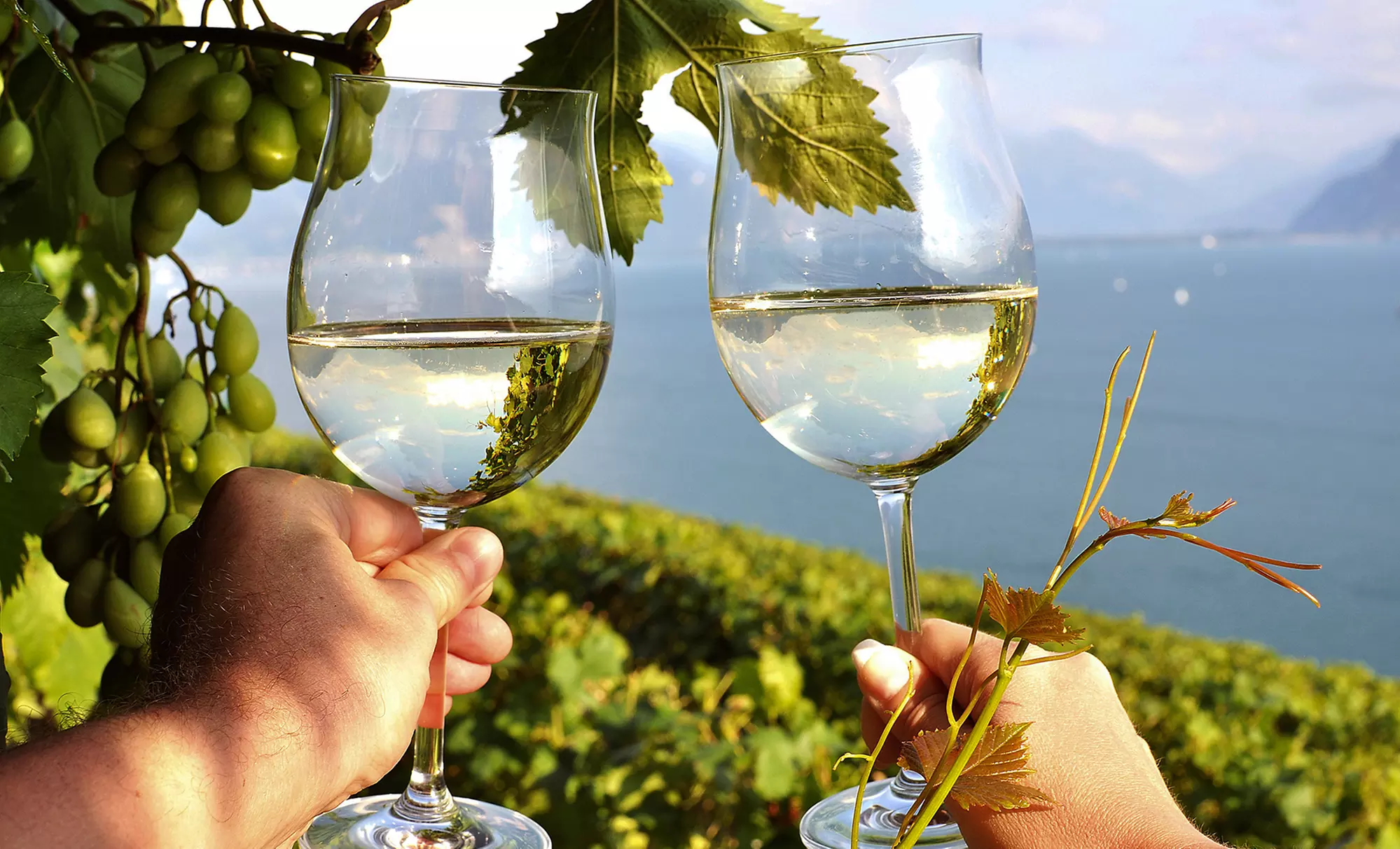 2014 Napa Valley Wine-Tasting Membership for Two or Four from Napa Valley Passport (Up to 58% Off) - Primary Image