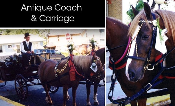 central park carriage ride groupon