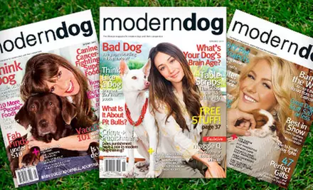 $7 for a One-Year Subscription to “Modern Dog” Magazine ($15 Value) - Primary Image