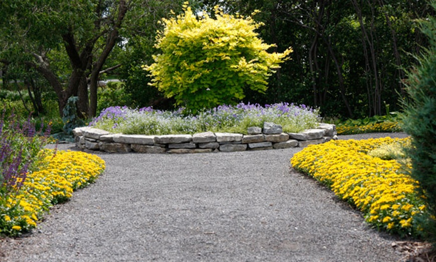 Image 4: Tour of the Gardens