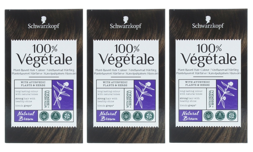 Image 16: Schwarzkopf Vegan Hair Dye