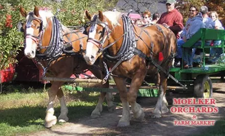 $4 for Two Tickets for a Horse-Drawn Wagon Ride at Moelker Orchards & Farm Market (Up to $9 Value) - Primary Image