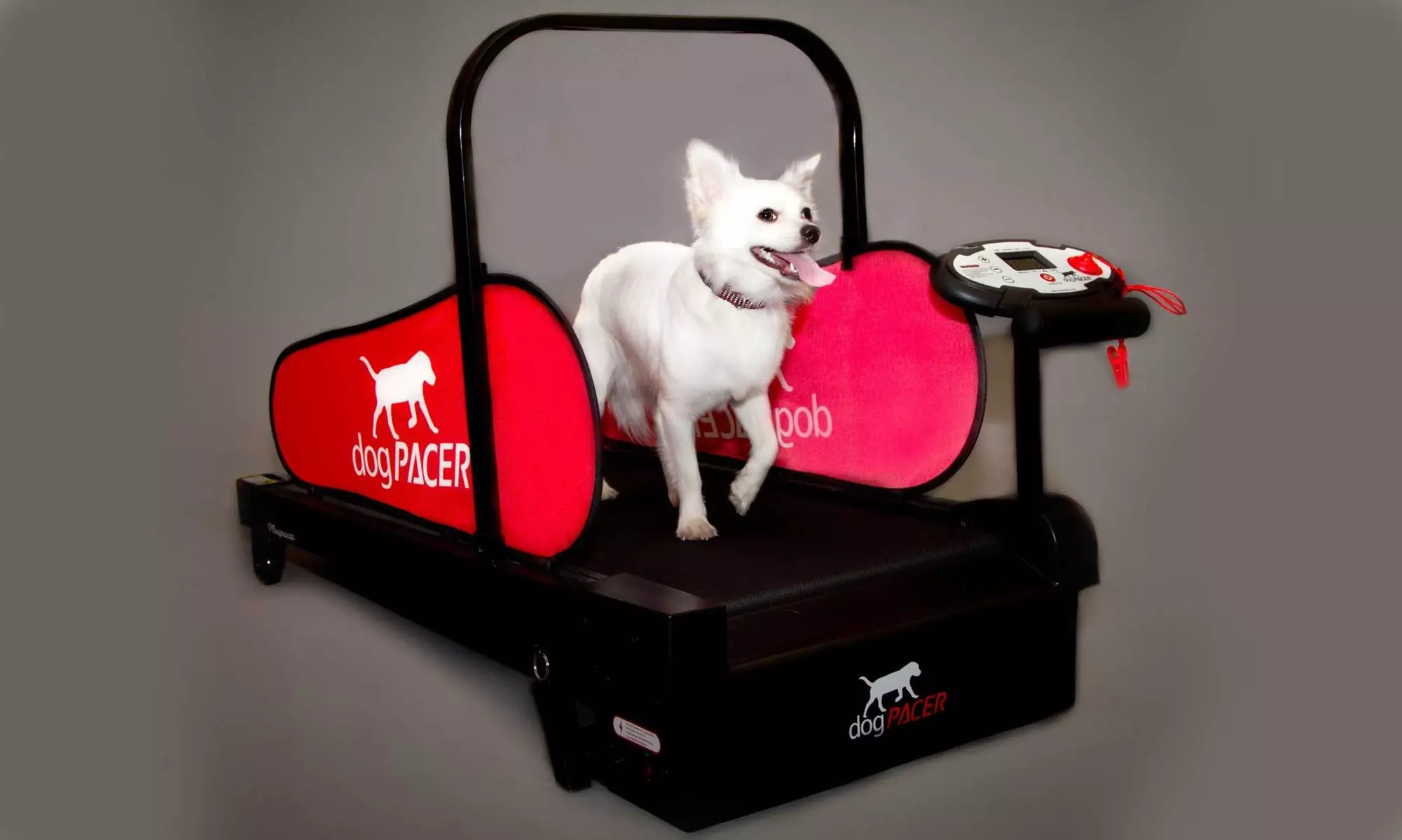 dogPACER Treadmills for Dogs. Multiple Options for Small to Large Dogs. - Primary Image
