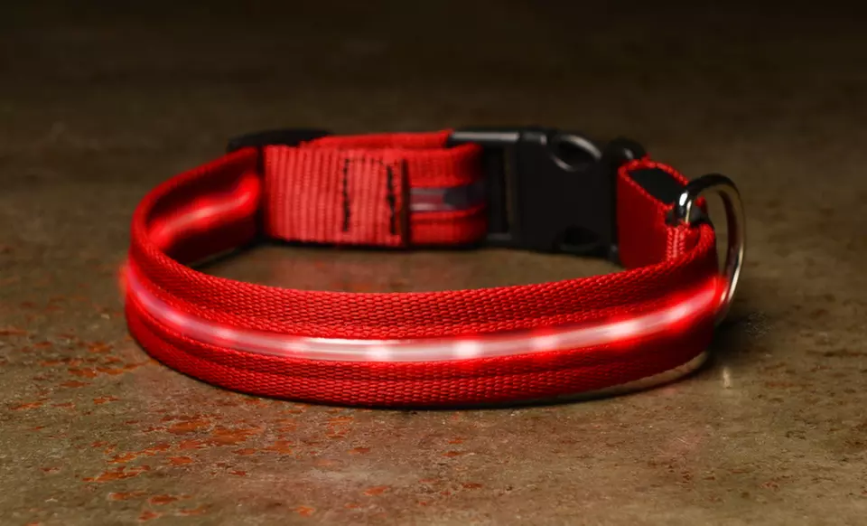 ShopTough LED Pet Collars and Leashes (Up to 80% Off). Multiple Sizes and Colors Available. Free Returns. - Primary Image
