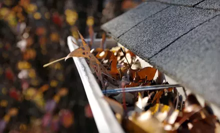 Gutter Cleaning, Window Cleaning, or Power-Washing from On The Spot Home Services - Primary Image