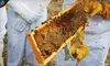 Introductory Beekeeping Class for One or Two at Round Rock Honey in Copper Canyon (Up to 72% Off)