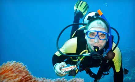 Discovery Scuba One-Day Experience or Open-Water Diver-Certification Course from H2O Dive Center (Up to 66% Off) - Primary Image