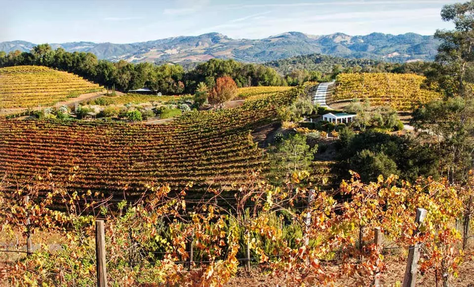 1-Night Stay for Up to Six with State-Park Visit and Wine Tastings at Jack London Lodge in Sonoma Valley, CA - Primary Image