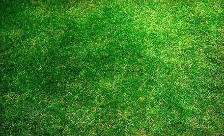 $15 for a Lawn Aeration Service from Grass Roots Solutions in Hamilton (Up to $45 Value) - Primary Image