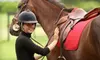 $35 for Two Private 30-Minute Horseback-Riding Sessions at Inanda Stables ($70 Value)