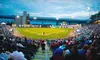 Camden Riversharks Baseball Outing for 2 or 4 People with Concessions Card