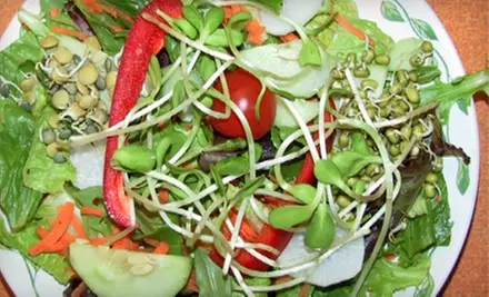$15 for $30 Worth of Gourmet Vegan Fare at The Green Wave Cafe in Plantation - Primary Image