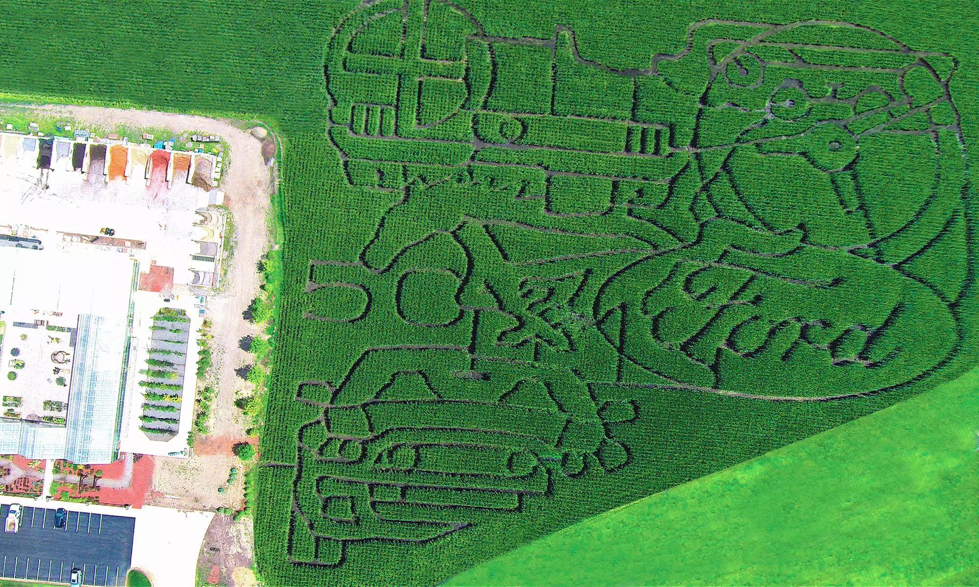 $20 for Fall Festival and Corn Maze for Four and Two WeeBee Pumpkins at 101 Market ($42 Value) - Primary Image