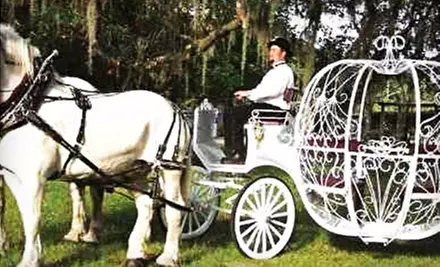 $50 for a One-Hour Carriage Tour for Up to Four from Ocala Carriage & Tours ($125 Value) - Primary Image