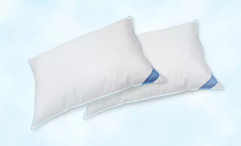 Kathy Ireland Resort Nordic Sleep Pillow Two-Pack in Standard or King Sizes (67% Off). Free Shipping. - Primary Image