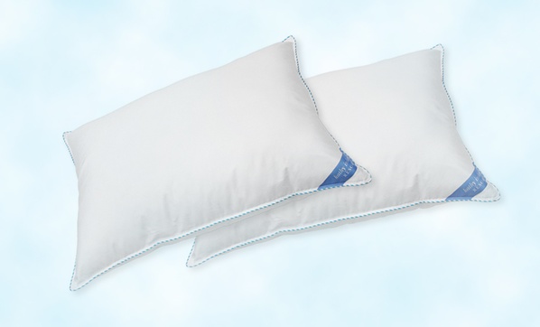 Nordic sleep outlet pillow