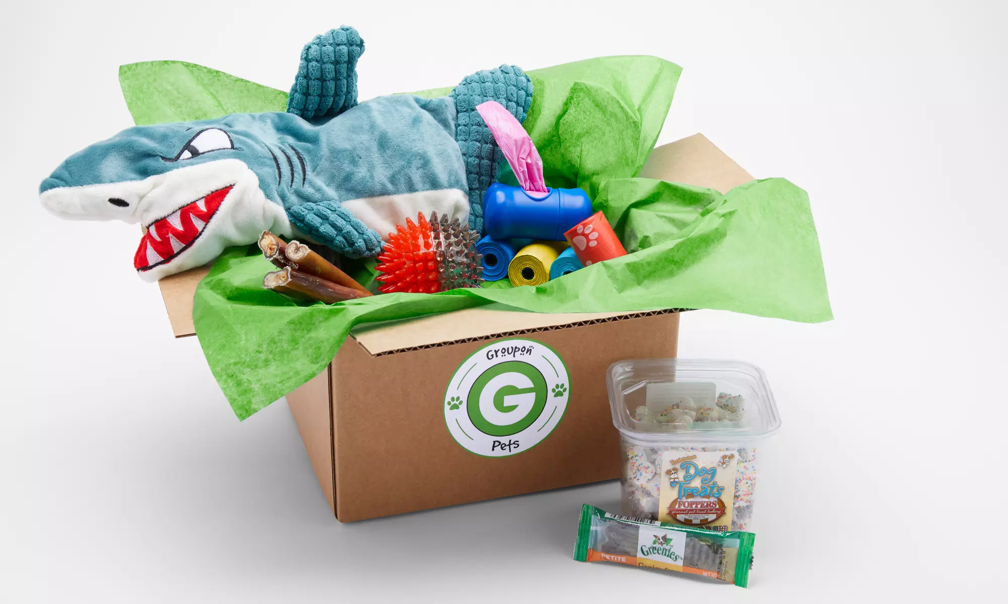 Groupon Pets - Surprise Dog Box (Monthly Subscription - $19.99/Box) - Primary Image