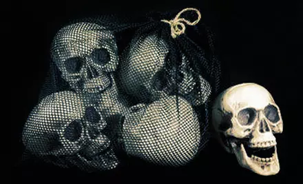 Halloween Accessories at the Skeleton Store (Up to 60% Off). Two Options Available. - Primary Image