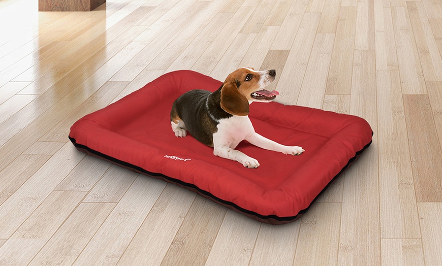 Image 17: Large Flat Dog Beds