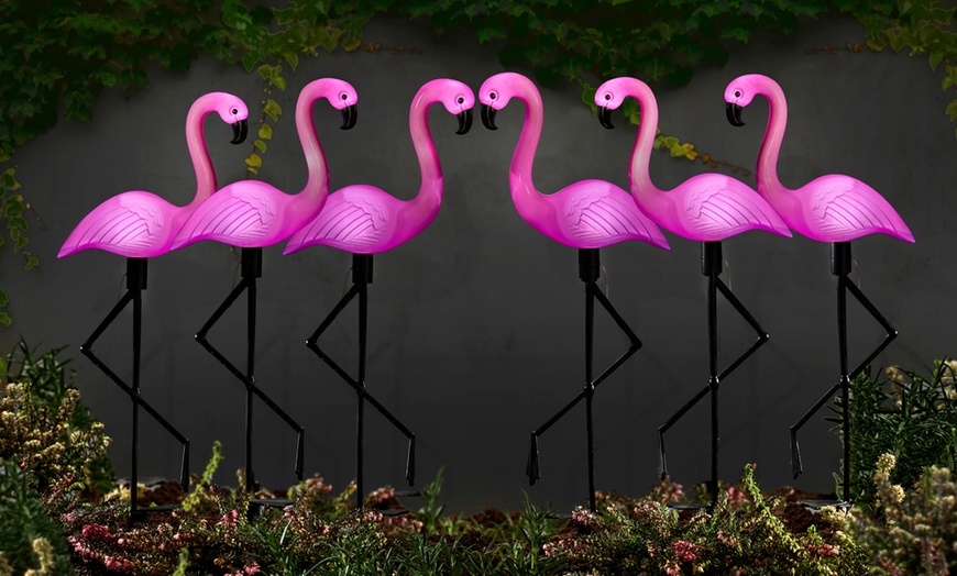 Image 5: Flamingo Standing Solar Lights