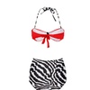 Image 14: High-Waisted Vintage-Style Bikini