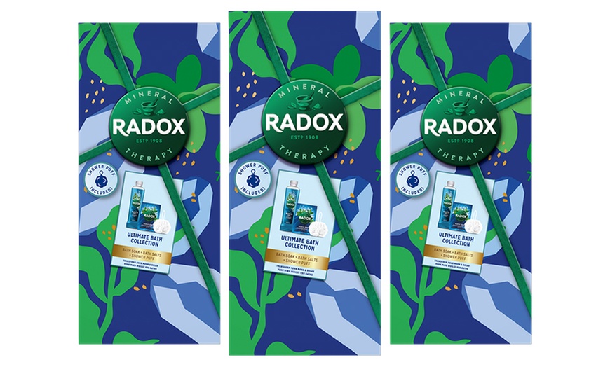 Image 4: Up to Four Packs of Radox Ultimate Bath Collection Gift Sets for Her