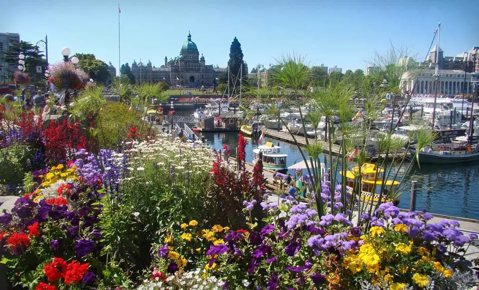 One- or Two-Night Stay at Malahat View Guest House in Shawnigan Lake, BC - Primary Image