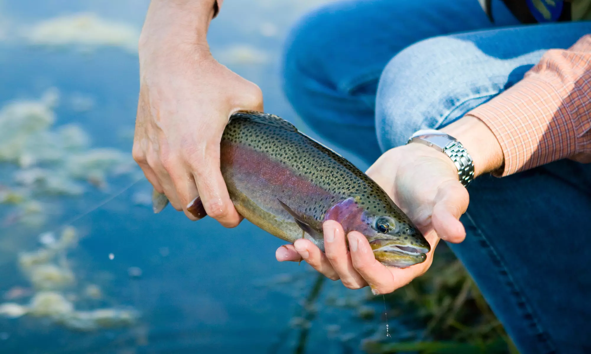 $109 for $199 Worth of Products — Double Agent Party Boat Fishing  - Primary Image