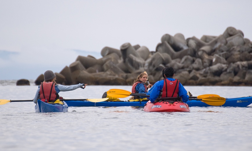 Kayak Or Paddleboard Rentals Kayak Connection Groupon