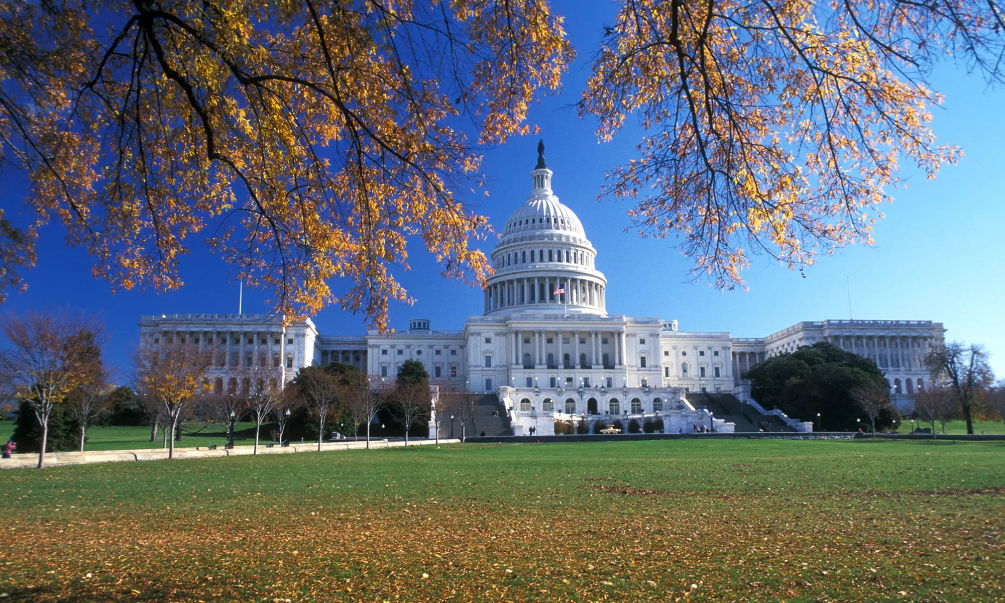 Stay with Dining Credit and WiFi at Le Méridien Arlington in Arlington, VA; Dates into February Available - Primary Image